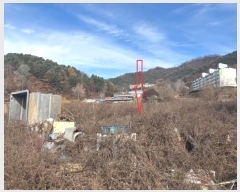  2024Ÿ55524  õ  â̸ 45-2      (1)