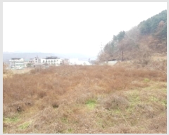  2024Ÿ55524  õ  â̸ 45-2      (1)