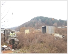  2024Ÿ55524  õ  â̸ 45-2      (1)