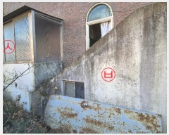  2024Ÿ55968  ڽü