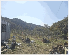  2024Ÿ��2643 ���� ȫõ�� ���͹̸� ��� 10      ����(��1)���