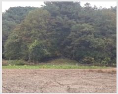  2024Ÿ��2643 ���� ȫõ�� ���͹̸� ��� 10      ����(��1)���