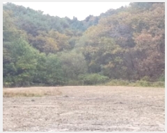  2024Ÿ��2643 ���� ȫõ�� ���͹̸� ��� 10      ����(��1)���