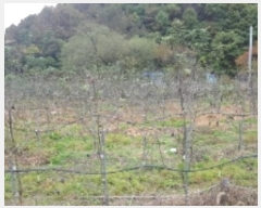  2024Ÿ��2643 ���� ȫõ�� ���͹̸� ��� 10      ����(��1)���