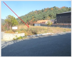  2024Ÿ2766  ȫõ ȫõ Ͽȸ 194      (Ӿ)