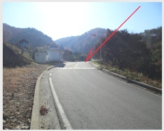  2024Ÿ2766  ȫõ ȫõ Ͽȸ 194      (Ӿ)