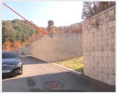  2024Ÿ2766  ȫõ ȫõ Ͽȸ 194      (Ӿ)