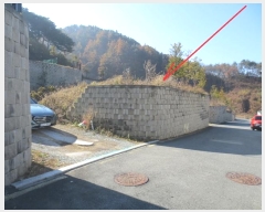  2024Ÿ2766  ȫõ ȫõ Ͽȸ 194      (Ӿ)