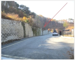  2024Ÿ2766  ȫõ ȫõ Ͽȸ 194      (Ӿ)