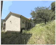  2024Ÿ54002  õ  ߻긮 774      (ķ)