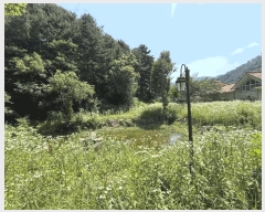  2024Ÿ54002  õ  ߻긮 774      (ķ)