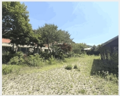  2024Ÿ54002  õ  ߻긮 774      (ķ)