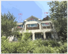  2024Ÿ54002  õ  ߻긮 774      (ķ)