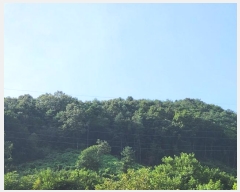  2024Ÿ��2087 ���� ��õ�� ��ϸ� �۾ϸ� ��152      ����(�Ӿ�)���