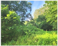  2024Ÿ��2087 ���� ��õ�� ��ϸ� �۾ϸ� ��152      ����(�Ӿ�)���