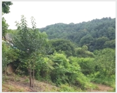  2024Ÿ��2087 ���� ��õ�� ��ϸ� �۾ϸ� ��152      ����(�Ӿ�)���