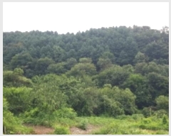  2024Ÿ��2087 ���� ��õ�� ��ϸ� �۾ϸ� ��152      ����(�Ӿ�)���