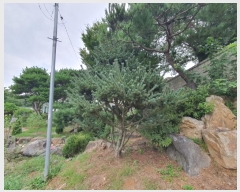  2024Ÿ��2148  ���ð��