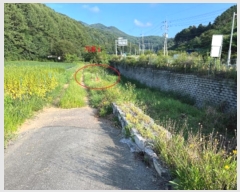  2024Ÿ2186  ȫõ   1109      (1)