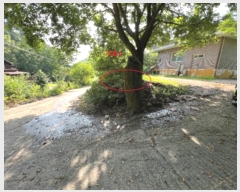  2024Ÿ2186  ȫõ   1109      (1)