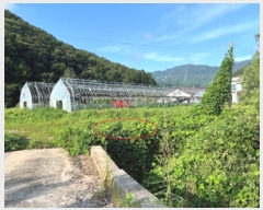  2024Ÿ2186  ȫõ   1109      (1)