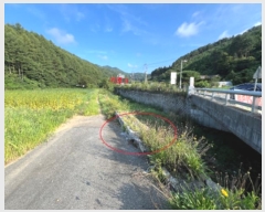  2024Ÿ2186  ȫõ   1109      (1)