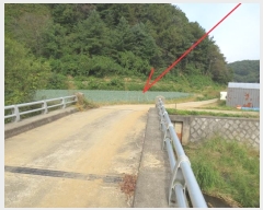  2024Ÿ��54705 ���� ȫõ�� ���� ȭ���� 909      ����(��)���