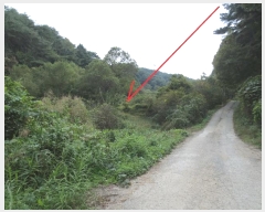  2024Ÿ��54705 ���� ȫõ�� ���� ȭ���� 909      ����(��)���