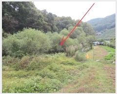  2024Ÿ��54705 ���� ȫõ�� ���� ȭ���� 909      ����(��)���