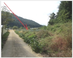  2024Ÿ��54705 ���� ȫõ�� ���� ȭ���� 909      ����(��)���