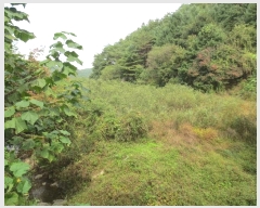  2024Ÿ��54705 ���� ȫõ�� ���� ȭ���� 909      ����(��)���