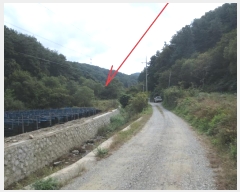  2024Ÿ��54705 ���� ȫõ�� ���� ȭ���� 909      ����(��)���