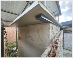  2024Ÿ��55852 ���� ��õ�� �Ҿ����� 8       �ܵ�����,�����ð��