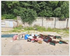  2024Ÿ1398  õ Ҿ1 93-6       ()