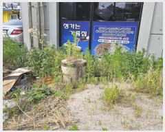  2024Ÿ1398  õ Ҿ1 93-6       ()