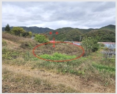  2024Ÿ��2674 ���� ȫõ�� ���͹̸� ��õ�� 1601-6      ����(��1)���