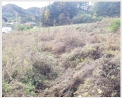  2024Ÿ��2674 ���� ȫõ�� ���͹̸� ��õ�� 1601-6      ����(��1)���