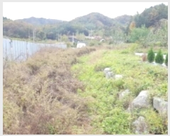  2024Ÿ��2674 ���� ȫõ�� ���͹̸� ��õ�� 1601-6      ����(��1)���