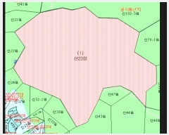  2024Ÿ2957  (Ӿ)