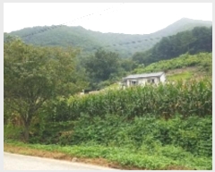  2024Ÿ��51904  �Ӿ߰��