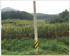  2024Ÿ��51904  �Ӿ߰��