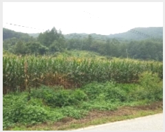  2024Ÿ��51904 ���� ȭõ�� �󼭸� �ٸ� 17-14      ���ð��