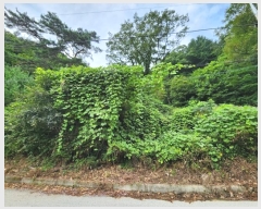  2024Ÿ53221  õ  ǰɸ 197      (1)