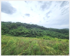  2024Ÿ53221  õ  ǰɸ 197      (1)