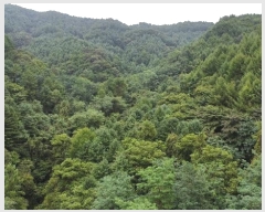  2024Ÿ53221  õ  ǰɸ 197      (1)