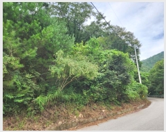  2024Ÿ53221  õ  ǰɸ 197      (1)