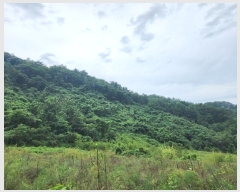  2024Ÿ53221  õ  ǰɸ 197      (1)