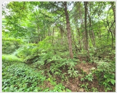  2024Ÿ53221  õ  ǰɸ 197      (1)