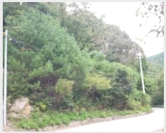  2024Ÿ53221  õ  ǰɸ 197      (1)