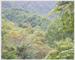  2024Ÿ53221  õ  ǰɸ 197      (1)